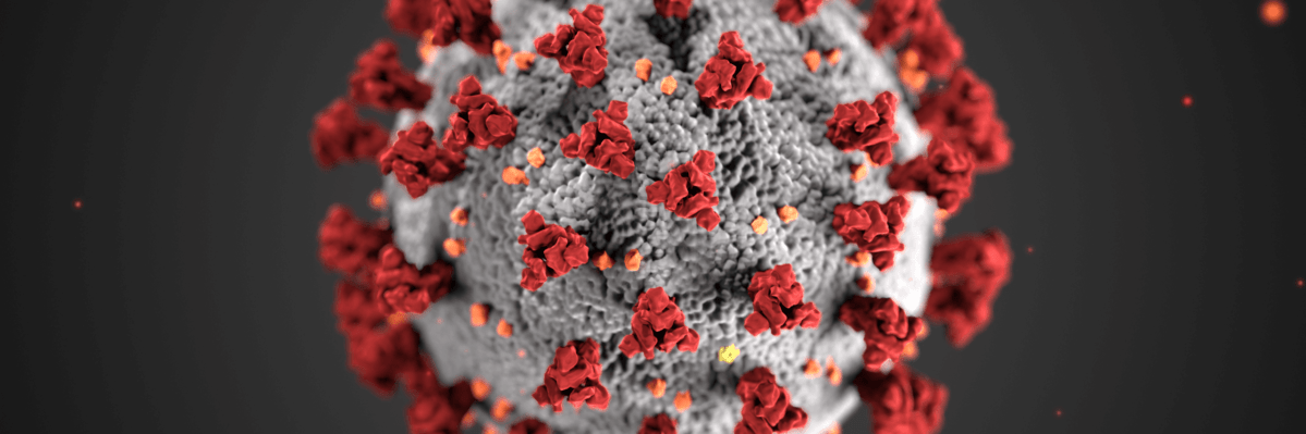 The Covid 19 virus