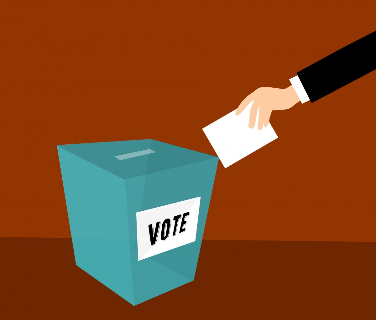 voting box and someone placing their vote in it